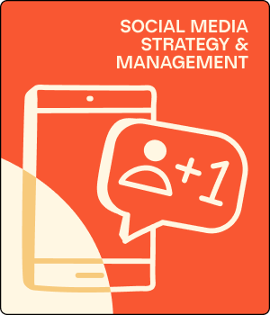 social media strategy & management